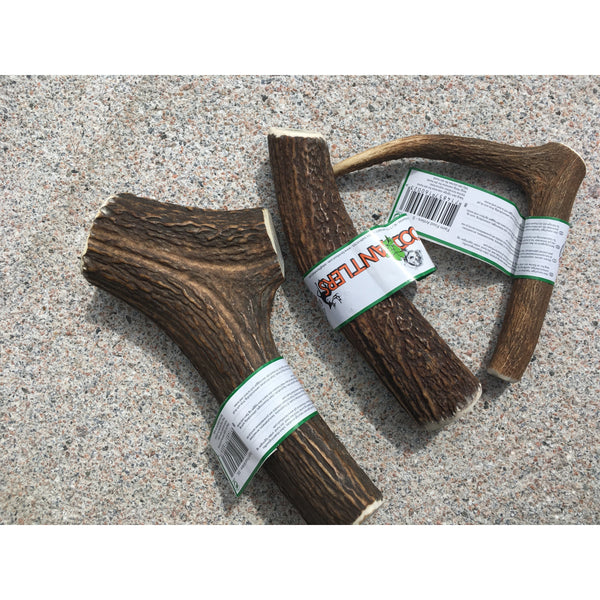 Farmfood Antlers (Hjortegevir) - Hundens Valg
