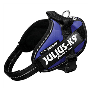 Julius K9 IDC Hundesele, blå - Hundens Valg