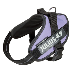 Julius K9 IDC Hundesele, lilla - Hundens Valg