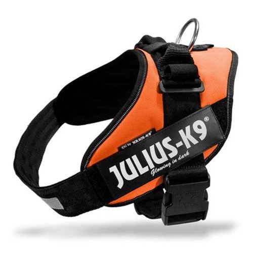 Julius K9 IDC Hundesele, Orange - Hundens Valg