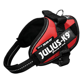 Julius K9 IDC Hundesele, rød - Hundens Valg