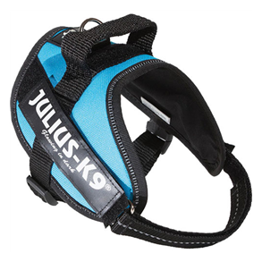 Julius K9 IDC Hundesele, tyrkis - Hundens Valg