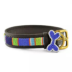 Kampuni  Reef - Hundens Valg